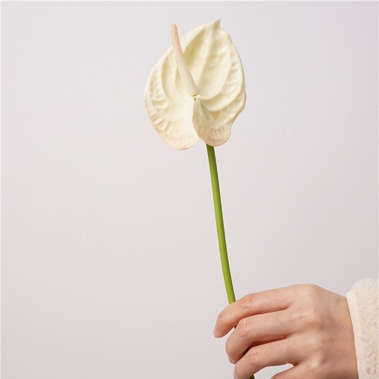 Simulated Anthurium