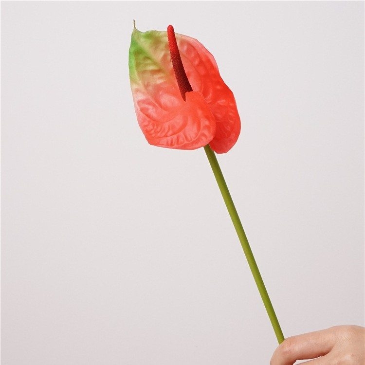 Simulated Anthurium