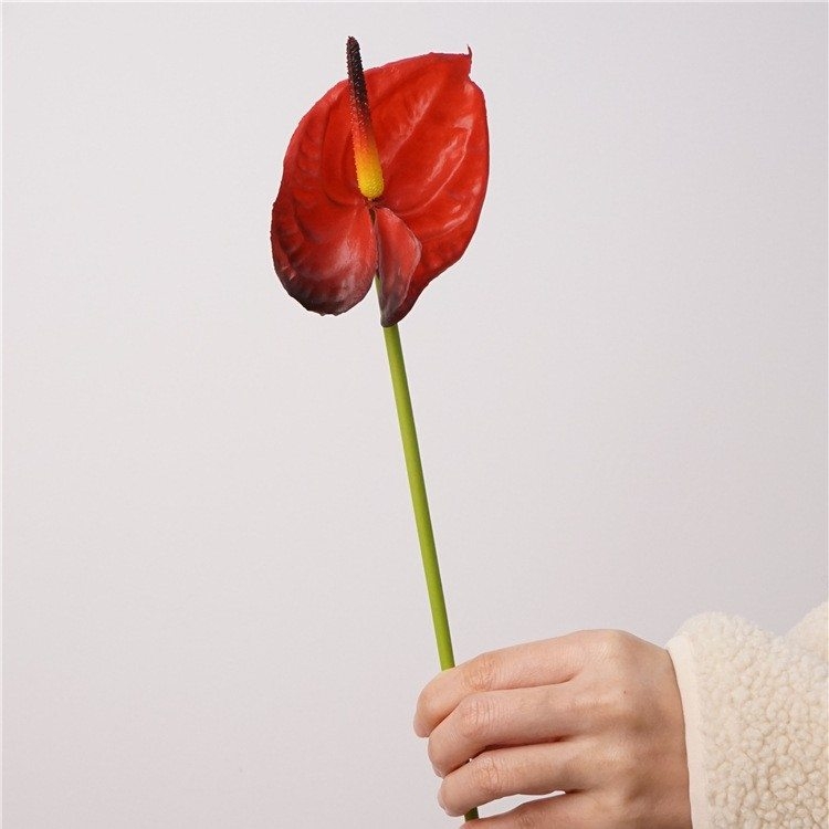 Simulated Anthurium