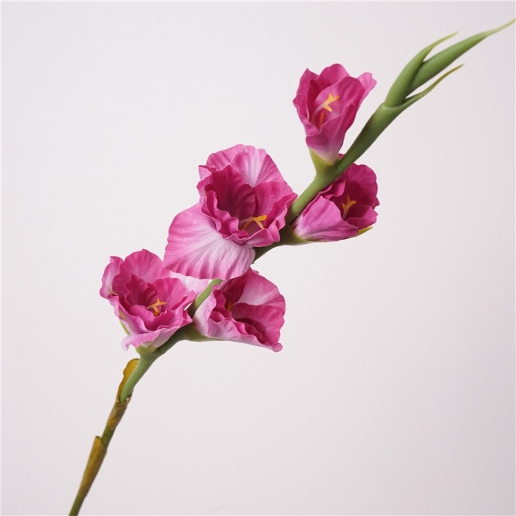 Hand-feeling moisturizing simulated gladiolus