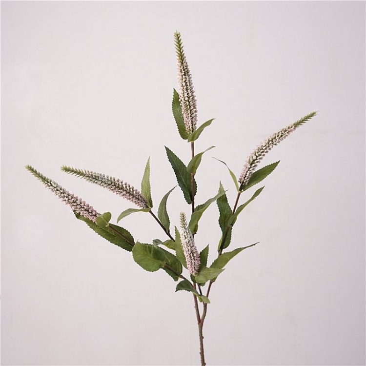 Simulated 5-forked sage