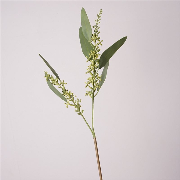 Eucalyptus with simulated two tree branches
