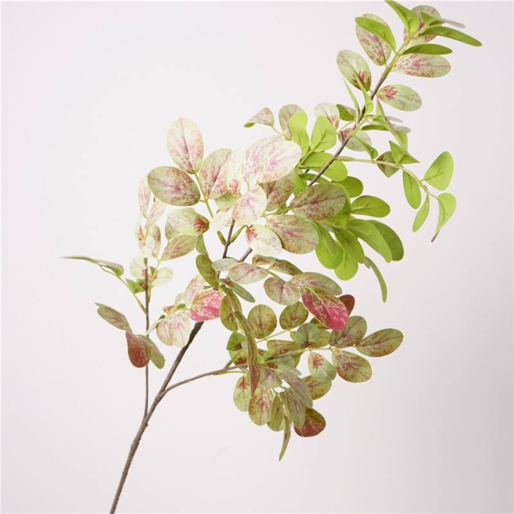 Simulated broad bean leaves
