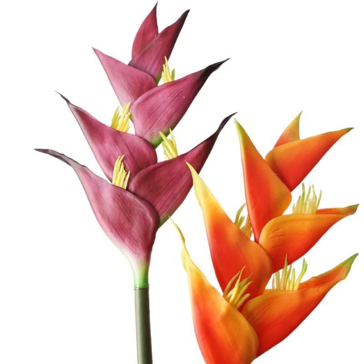 Simulated Heliconia