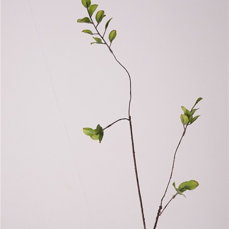 Fake banyan tree branches