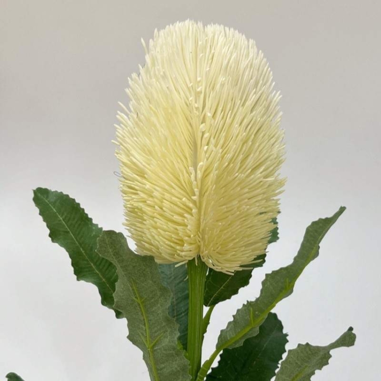 Artificial Banksia