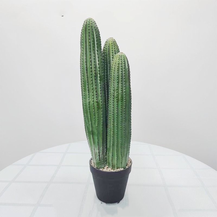 Simulated bonsai containing three cacti