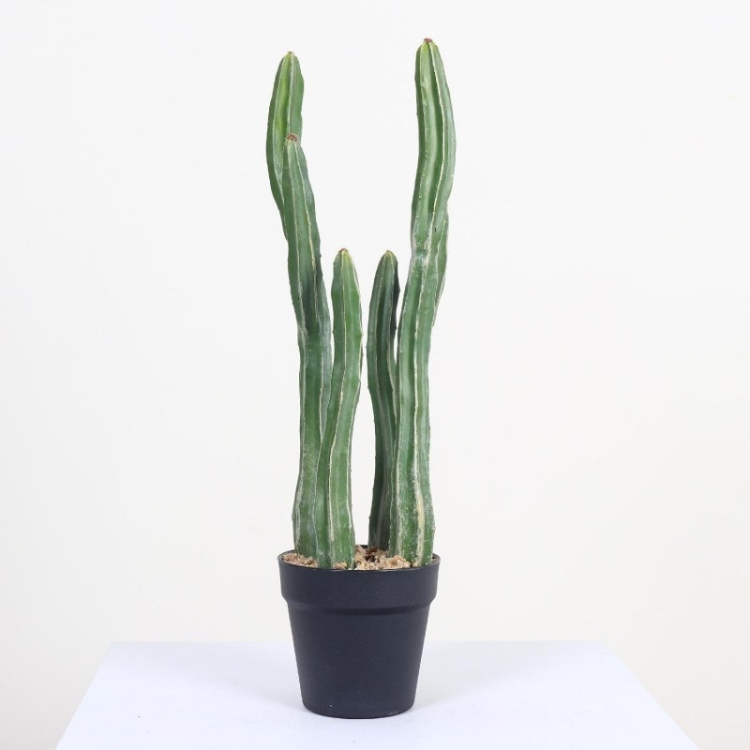 Artificial Four-stem Cactus