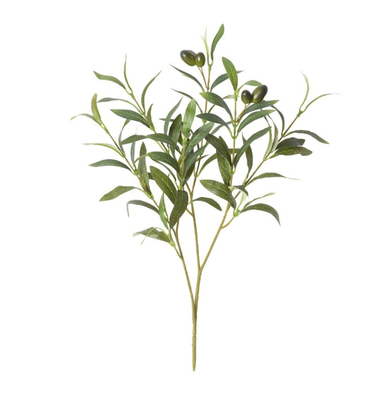 Olive branch fake branch