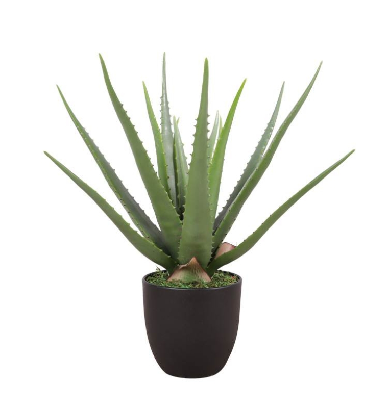 Artificial 35cm - 70cm aloe vera potted plants
