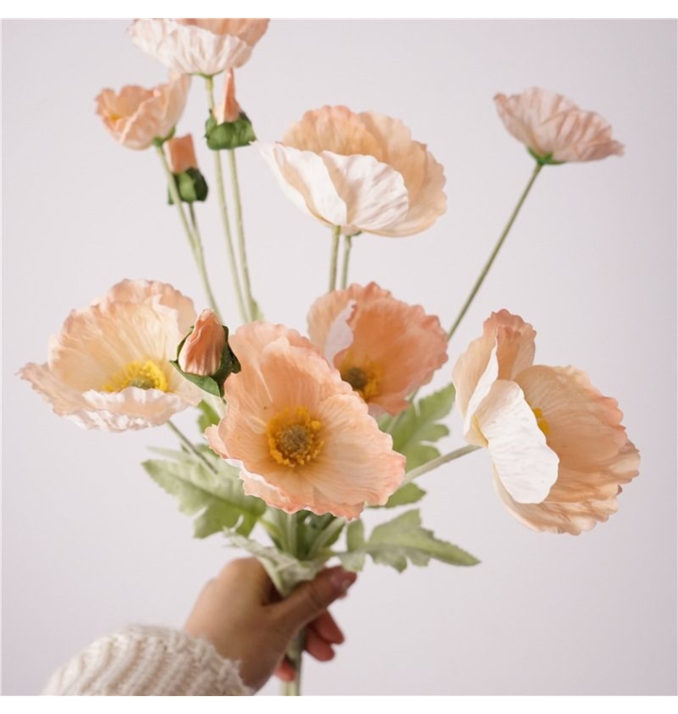 Simulated Icelandic poppy