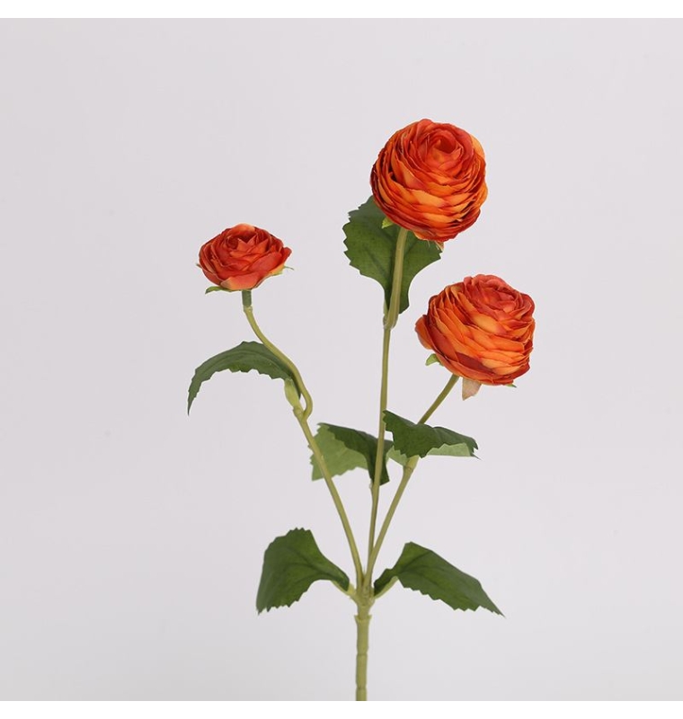 False Moisturizing Ranunculus