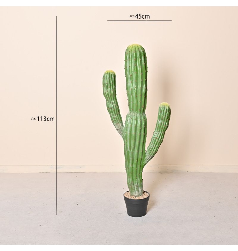 Simulated cylindrical Moroccan cactus with three branches
