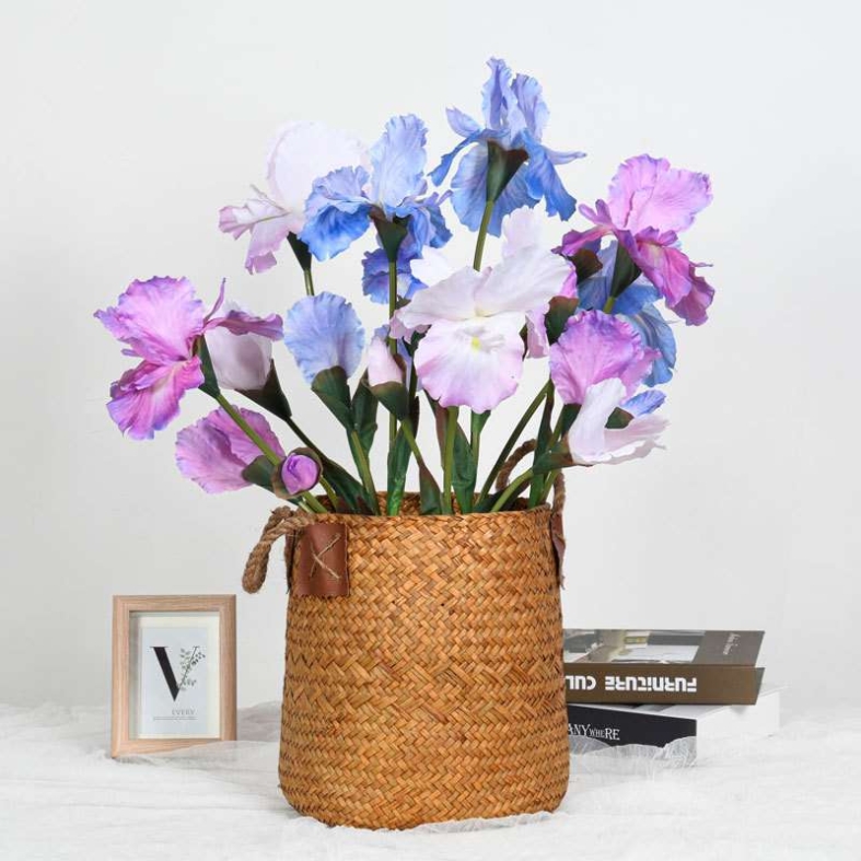 Artificial Iris