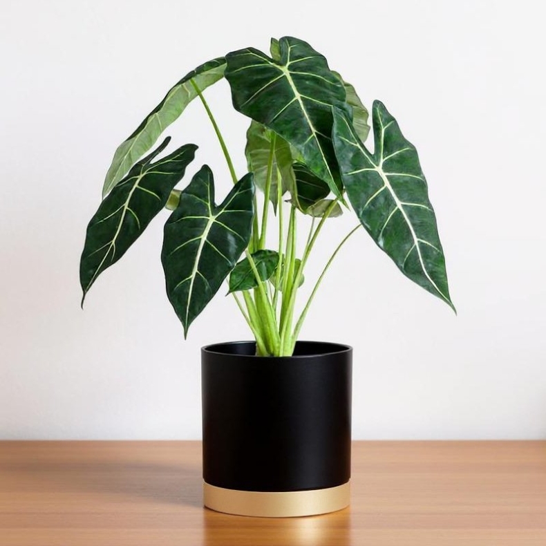 Cylindrical plastic flower pot