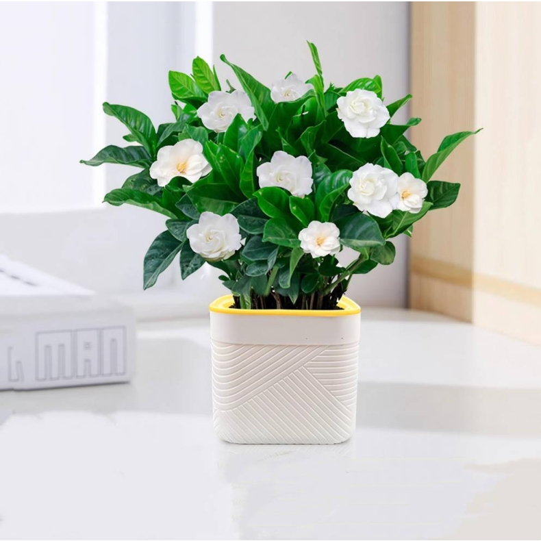 Wholesale plastic twill flower pots
