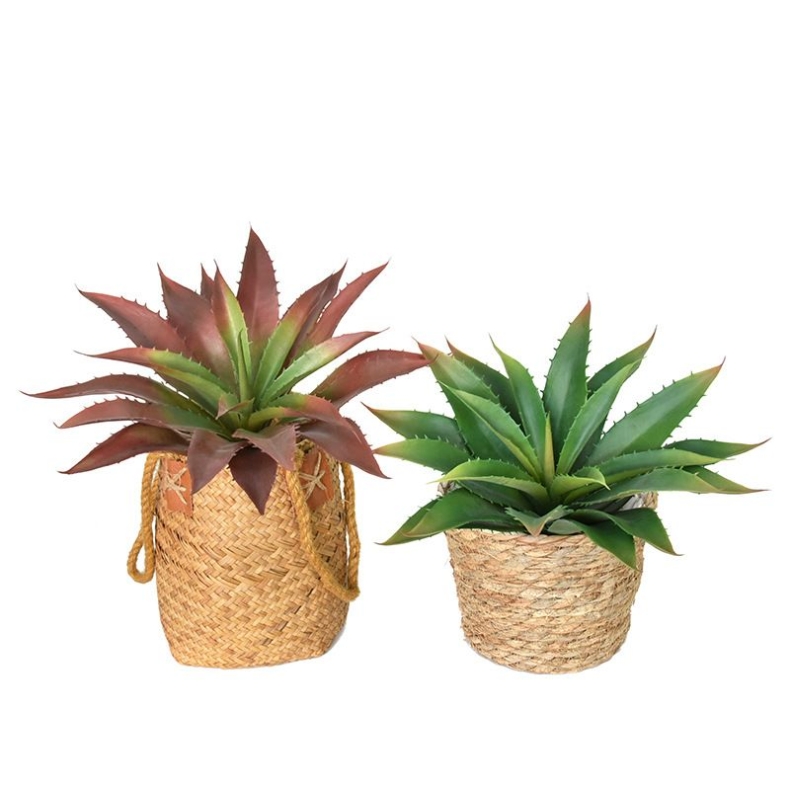 Simulated Aloe Vera