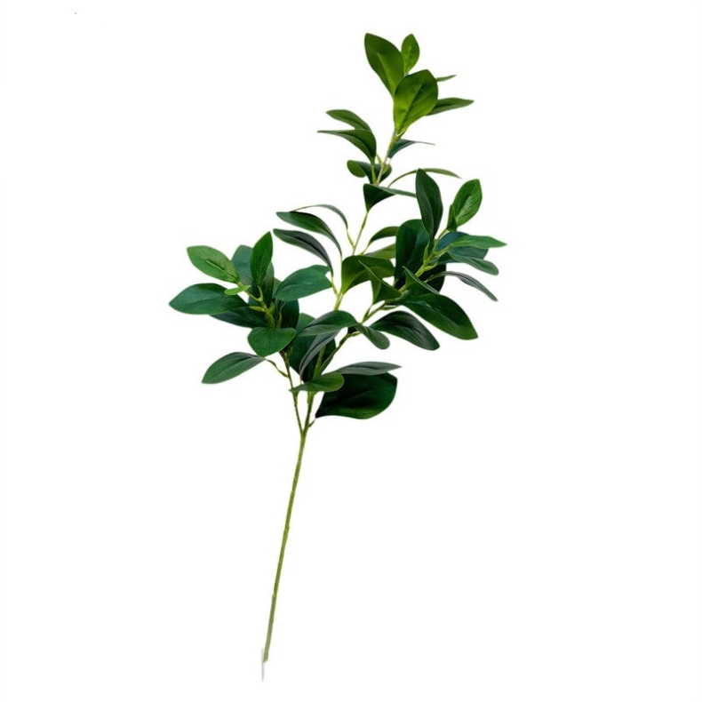 Artificial broad bean leaves