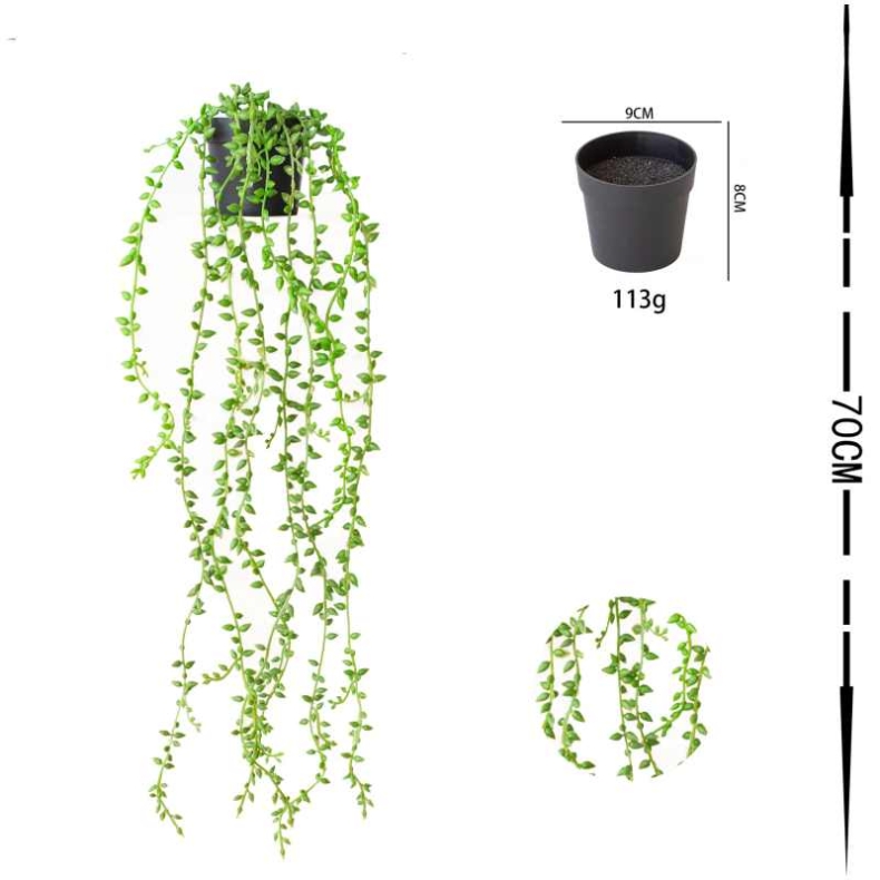 Lover's Tears Vine with 9 Branches