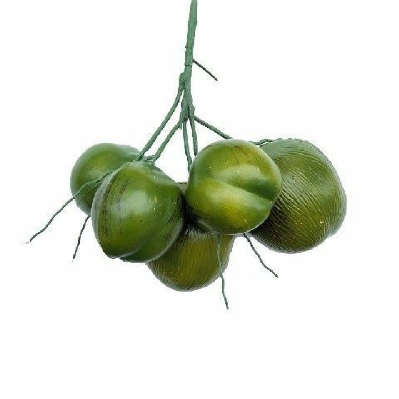 Artificial coconut