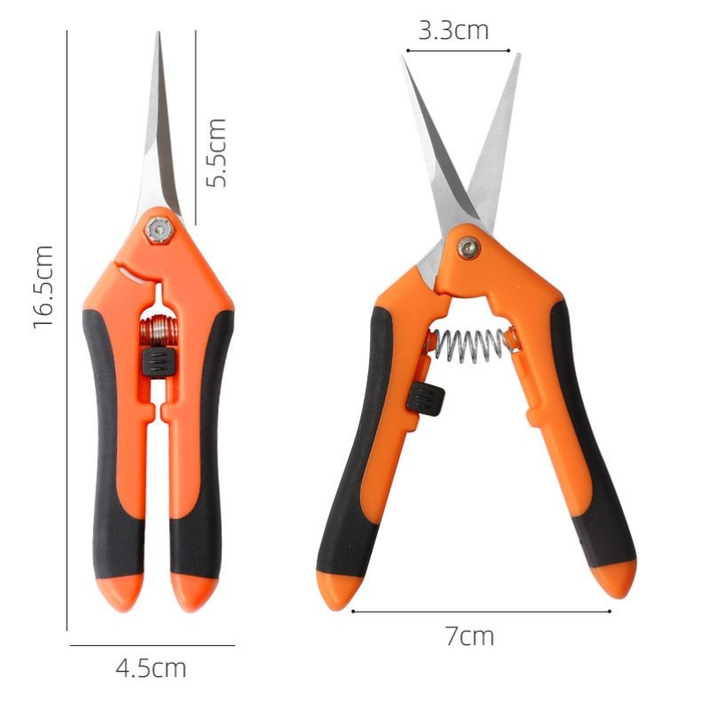 Stainless steel pruning shears and fruit picking shears