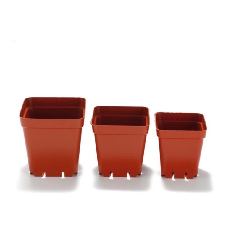 Square plastic flower pot