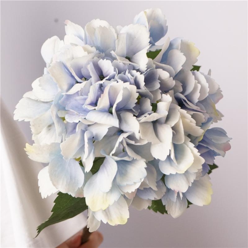Hydrangea flowers for decoration