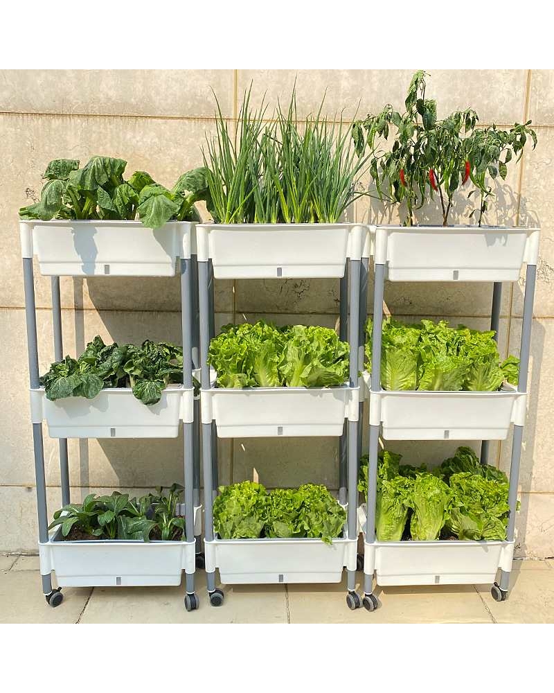 Multi-layer Plastic pots for vegetable planting
