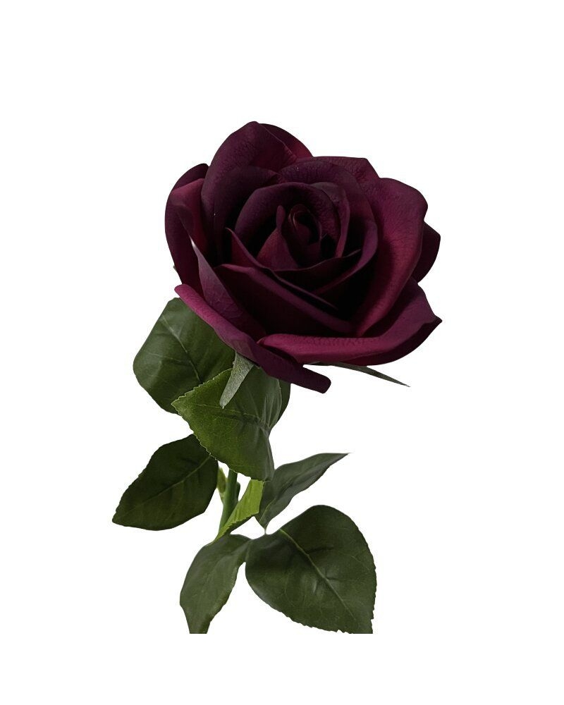 Multi-colored moisturizing rose wholesale