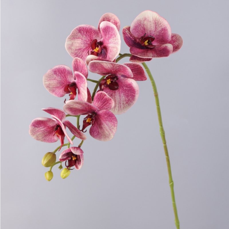Wholesale artificial Phalaenopsis orchids with 7 flowers