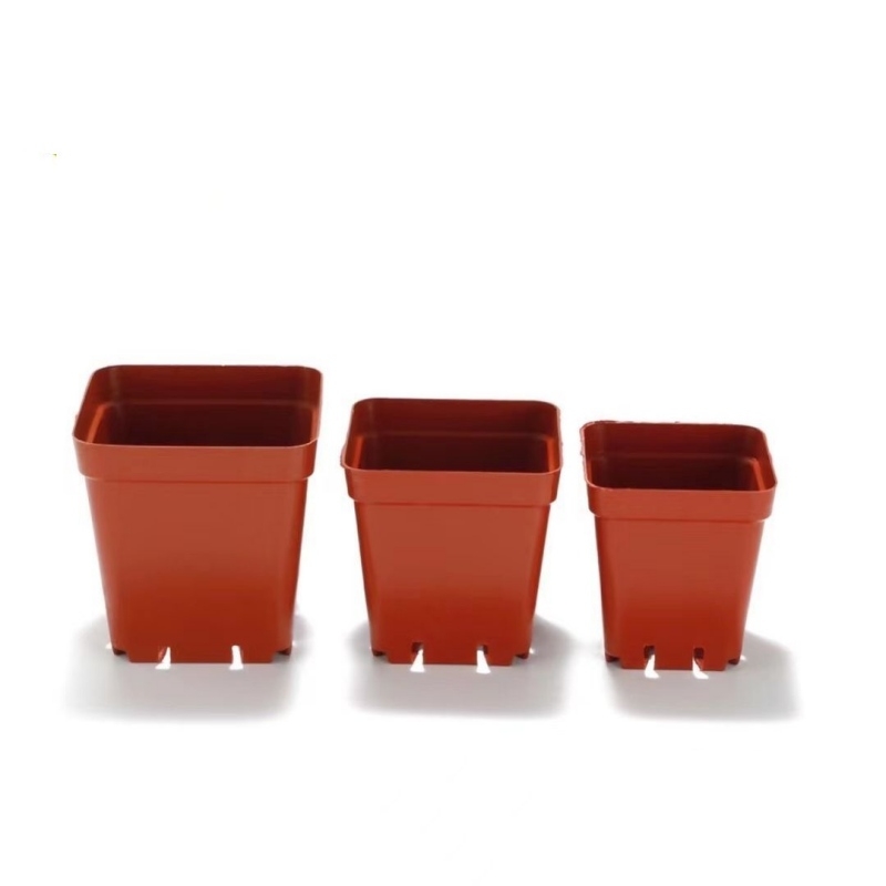 Square plastic flower pot