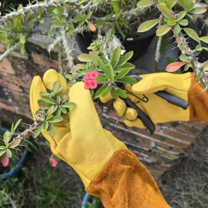 Leather gardening gloves