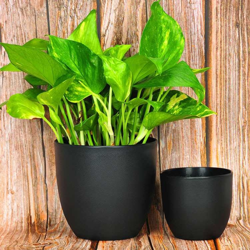 2.75 inch to 9.5 inch wholesale plastic flower pots
