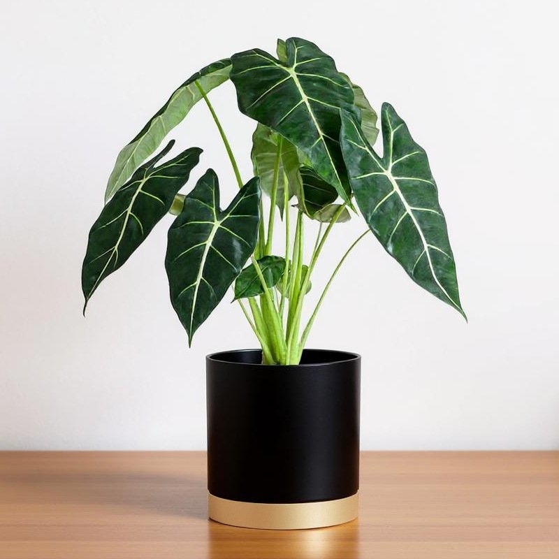 Cylindrical plastic flower pot