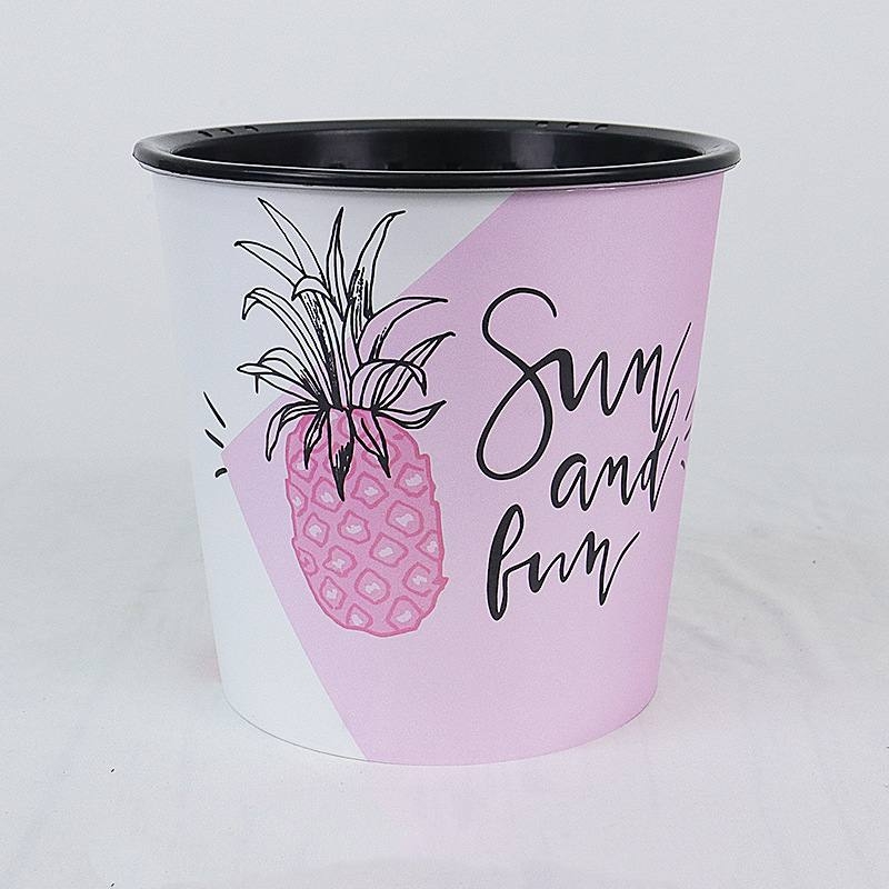 Painted plastic flower pots