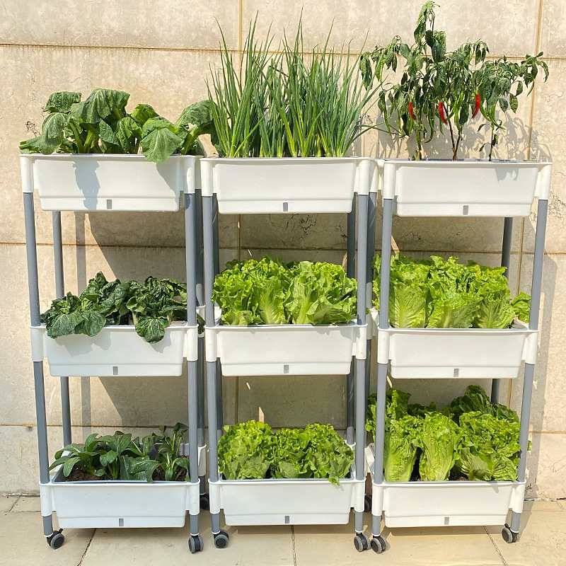 Multi-layer Plastic pots for vegetable planting