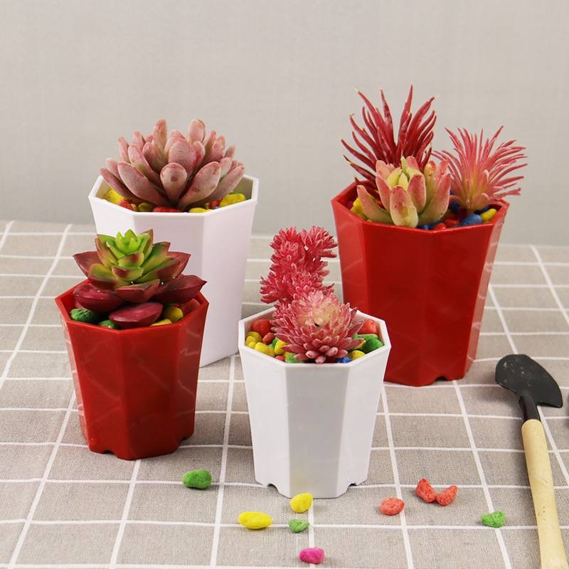 Simple octagonal plastic flower pot