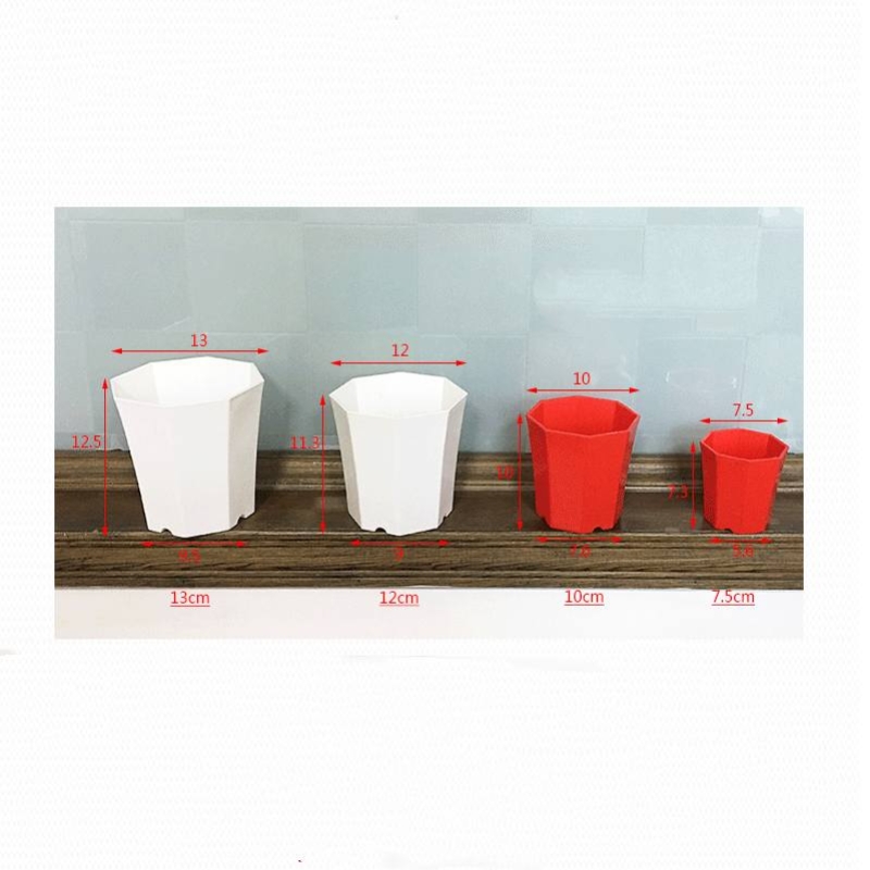 Simple octagonal plastic flower pot
