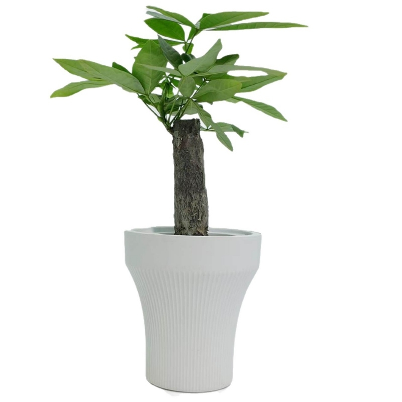 Plastic self-absorbing double-layer flower pot