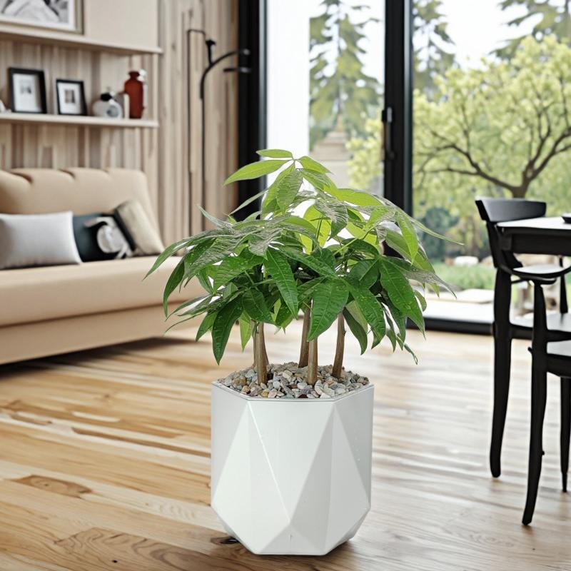 Polygonal plastic flower pots