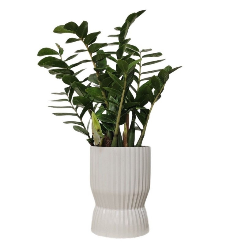 Wholesale of high-quality plastic flower pots