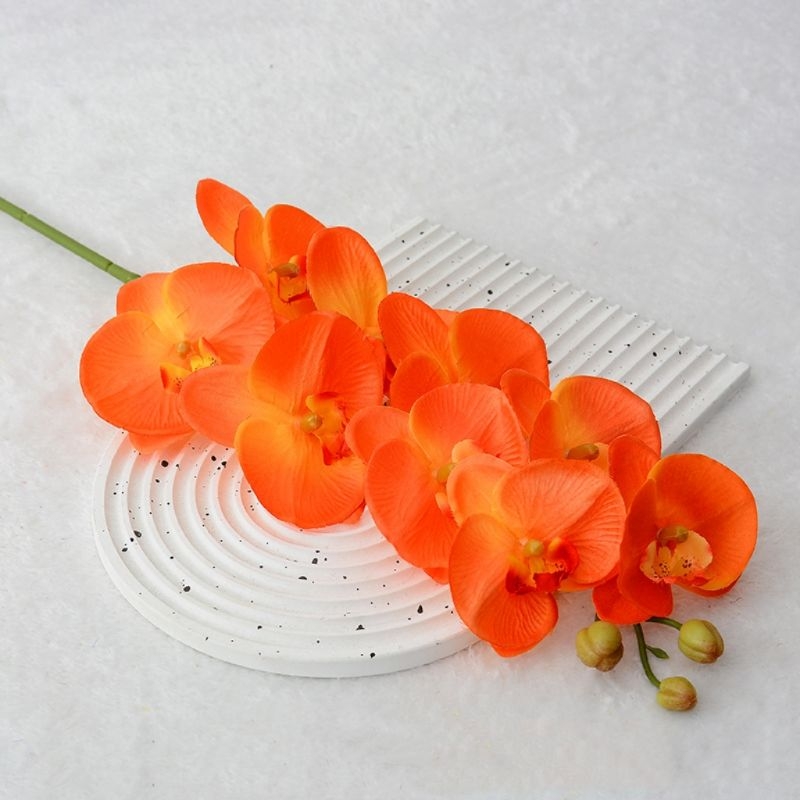 High-fidelity Phalaenopsis orchid