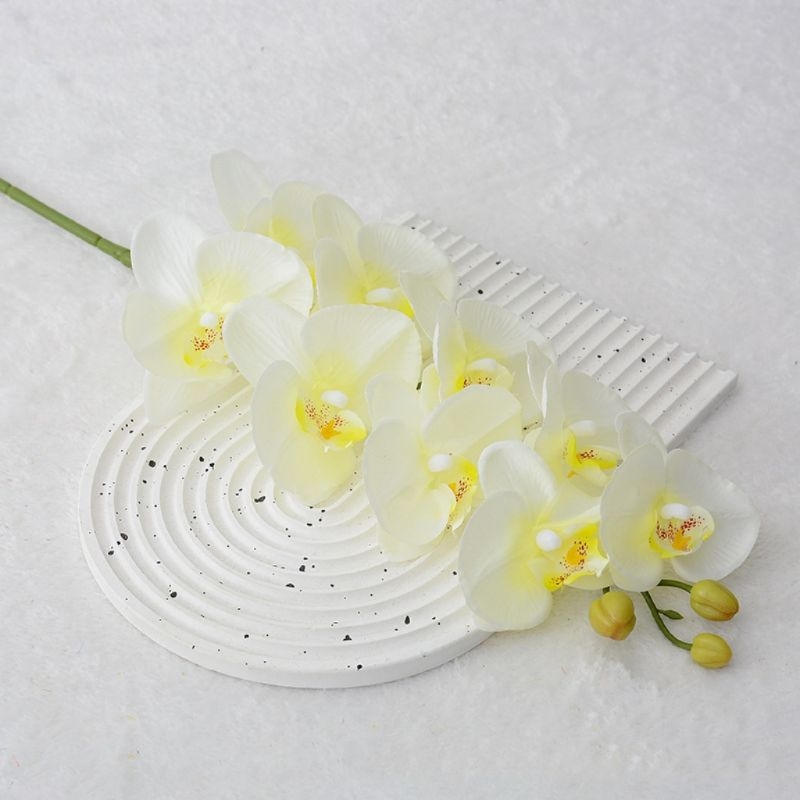 High-fidelity Phalaenopsis orchid