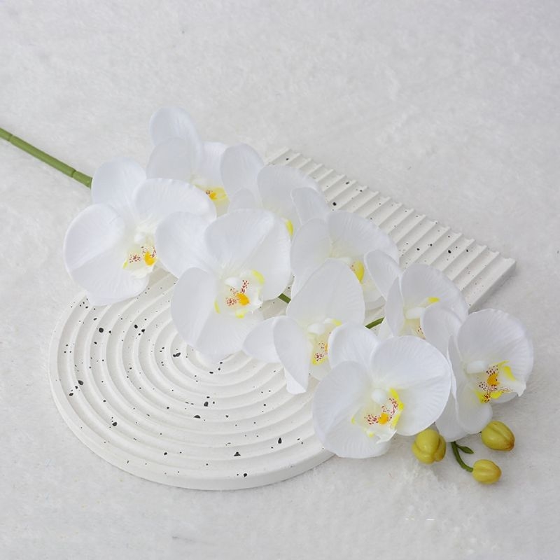 High-fidelity Phalaenopsis orchid