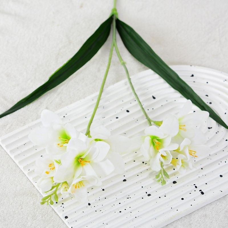 Simulated Freesia