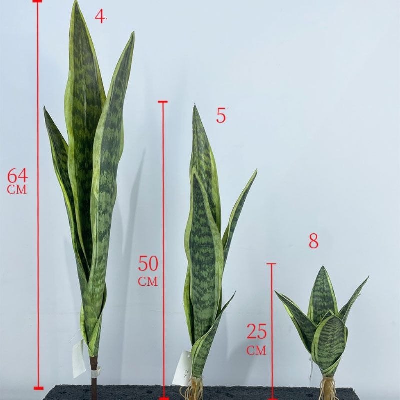 Simulated snake plant