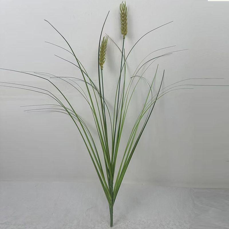 Simulated ears of wheat, rice, and wheat