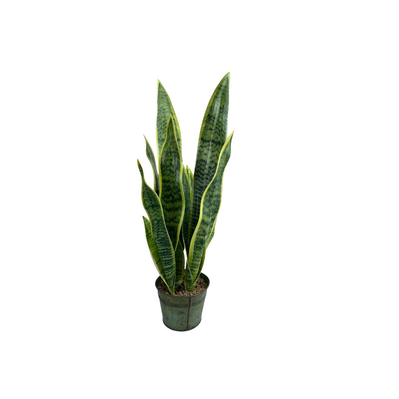 Artificial snake plant bonsai