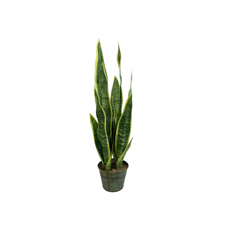 Artificial snake plant bonsai