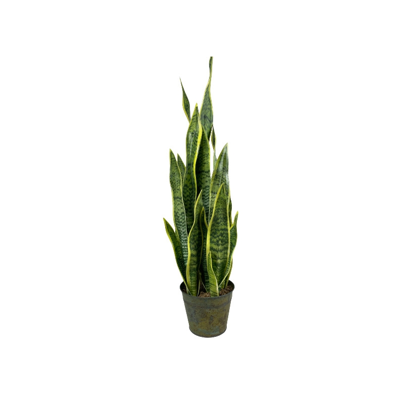Artificial snake plant bonsai